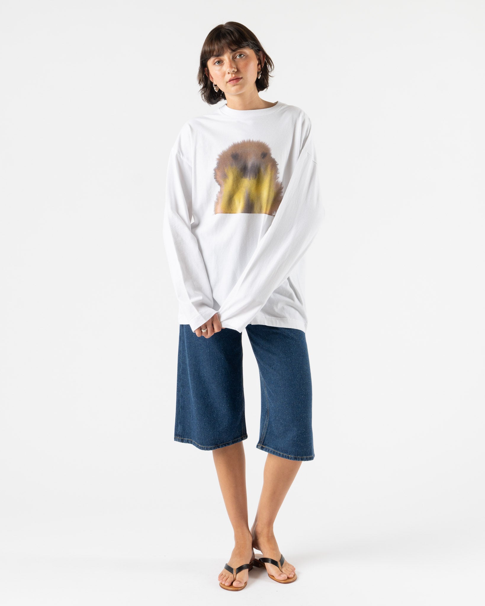 Wild Animals Walrus Adult Longsleeve