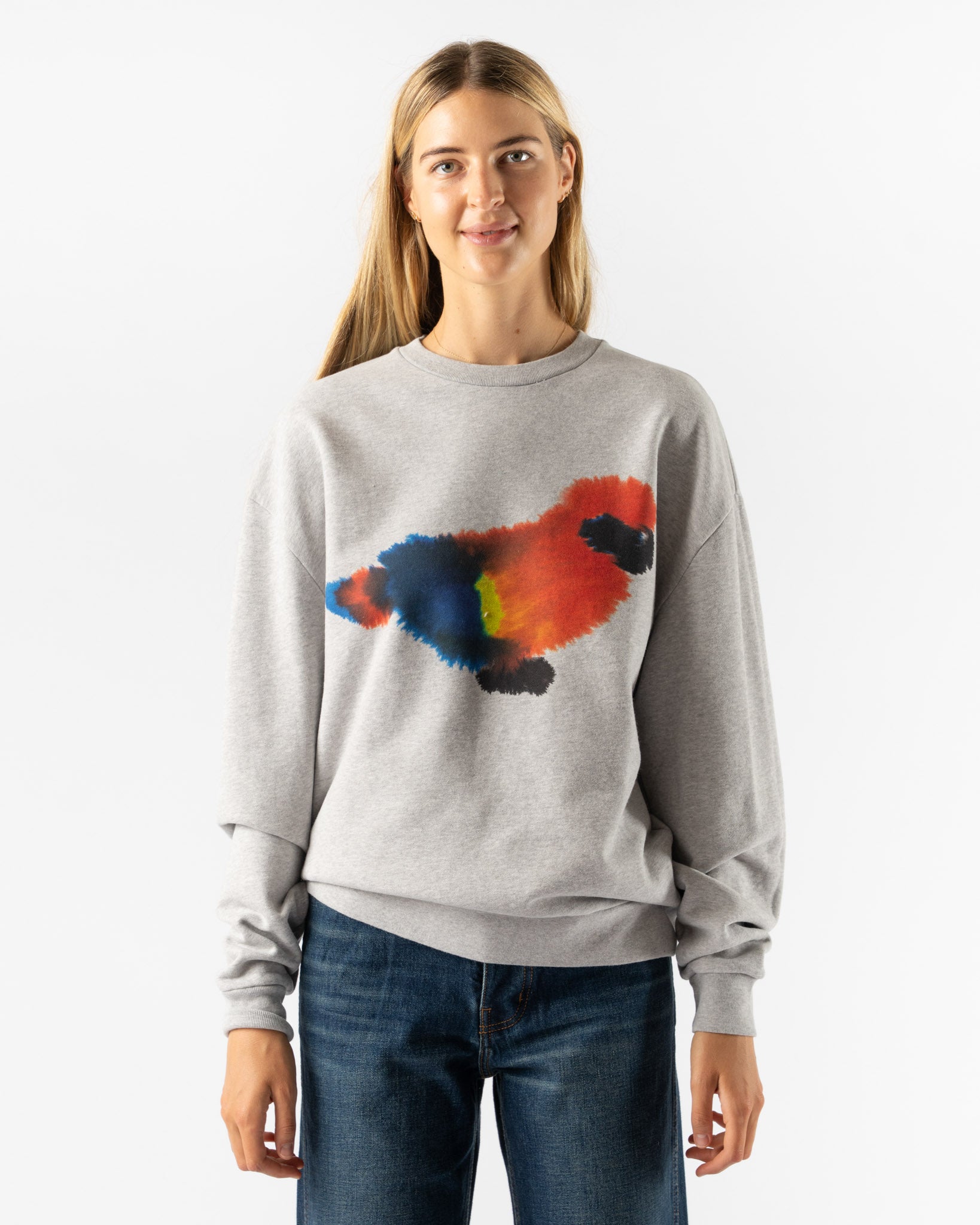 Wild Animals Parrot Sweater