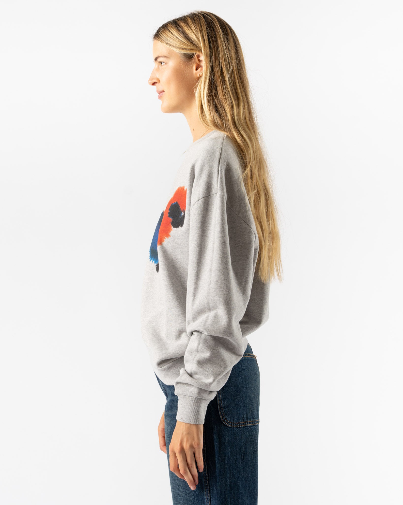 Wild Animals Parrot Sweater