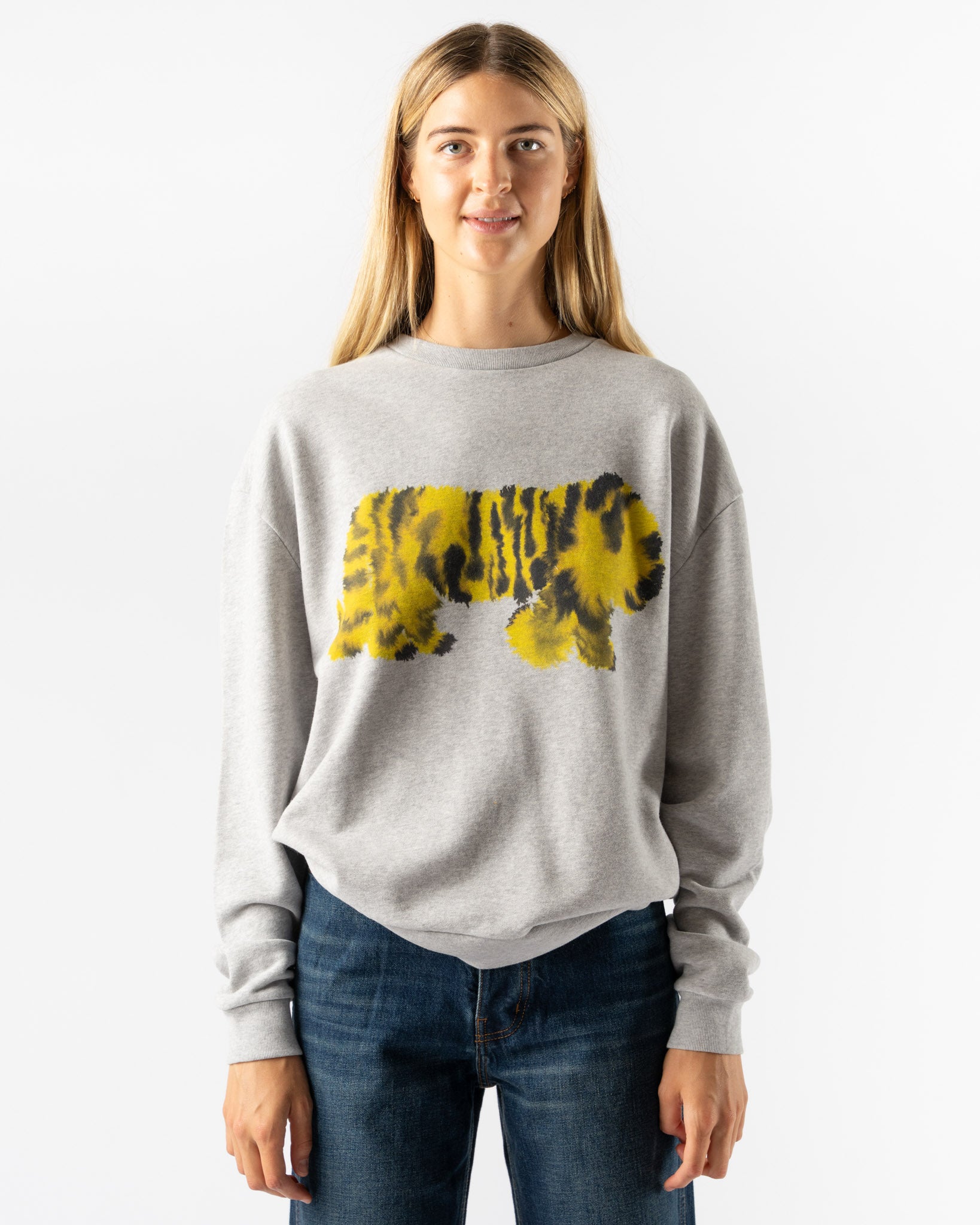 Wild Animals Tiger Sweater