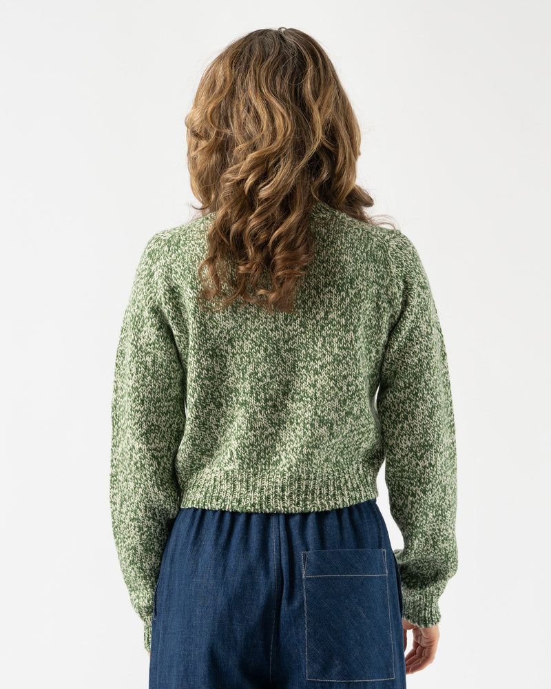 Auralee Silk Wool Camel Mix Knit Short Pullover in Mix Green