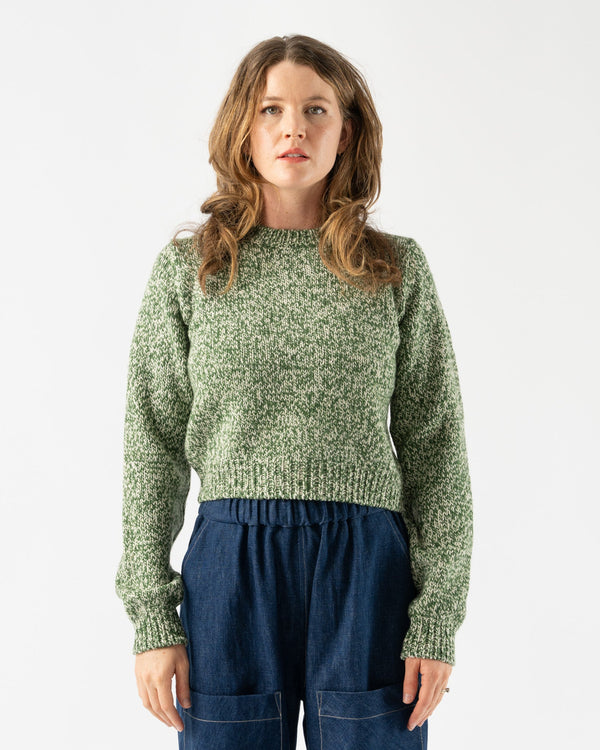Auralee-Silk-Wool-Camel-Knit-Short-Pullover-in-Mix-Green-Santa-Barbara-Boutique-Jake-and-Jones-Sustainable-Fashion