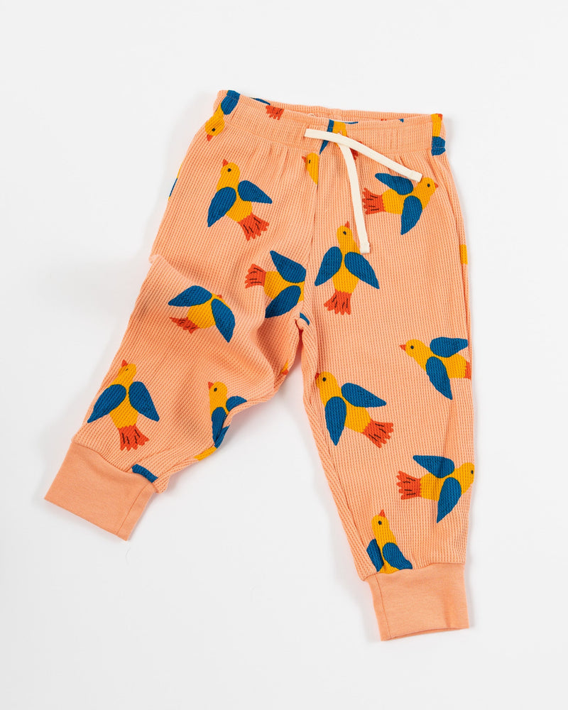 Tiny Cottons Kids Birds Sweatpants